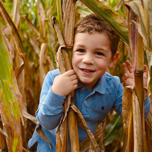 Find the perfect pumpkin at Downey's Farm in Caledon, Ontario.