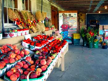farm market downey ontario fruit toronto downeys