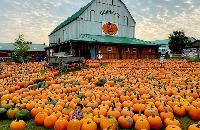 A child sits surrounded by orange pumpkins in front of a Donneys barn, with a wagon and people nearby on a cloudy day.