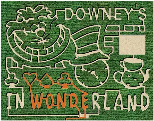 An aerial of Downey's Corn Maze design in 2026